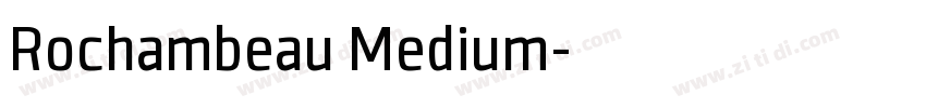 Rochambeau Medium字体转换